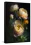 Canvas Black