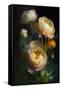 Canvas Black