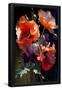 Essential Black