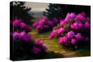 Stretched Canvas