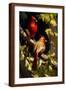 Brown Frame