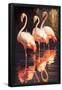 Essential Black