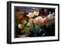 Black Frame