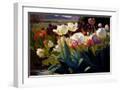 White Frame