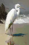 White Heron-Vivienne Dupont-Art Print