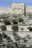 Temple of Bacchus, Baalbek, Lebanon-Vivienne Sharp-Photographic Print