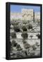 Essential Black