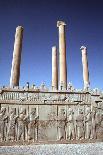 Palace of Darius, Persepolis, Iran-Vivienne Sharp-Photographic Print