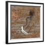 Vivienne-Saro-Framed Art Print