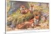 Vixen and Her Children, Illustration from 'Country Ways and Country Days'-Louis Fairfax Muckley-Stretched Canvas