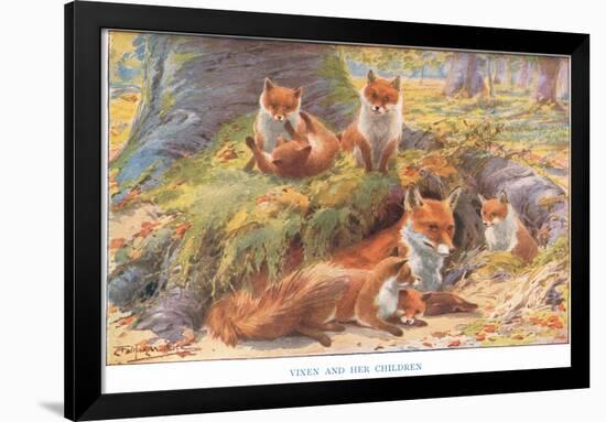 Vixen and Her Children, Illustration from 'Country Ways and Country Days'-Louis Fairfax Muckley-Framed Premium Giclee Print