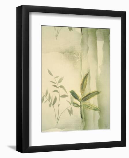 Vizcaya Ferns II-Muriel Verger-Framed Art Print