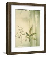 Vizcaya Ferns II-Muriel Verger-Framed Art Print