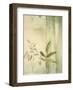 Vizcaya Ferns II-Muriel Verger-Framed Art Print