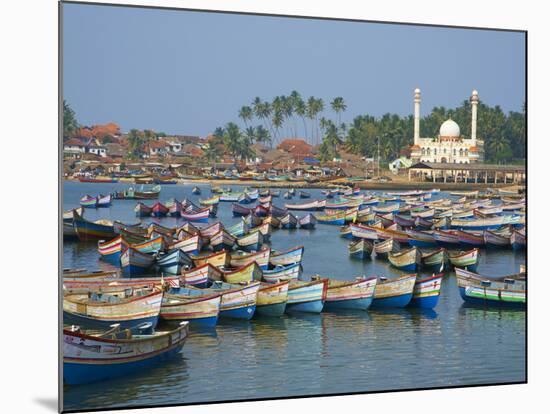 Vizhinjam, Fishing Harbour Near Kovalam, Kerala, India, Asia-Tuul-Mounted Photographic Print