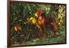 Vizsla by Yellow Autumn Leaves, Andover, Connecticut, USA-Lynn M^ Stone-Framed Photographic Print