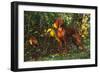 Vizsla by Yellow Autumn Leaves, Andover, Connecticut, USA-Lynn M^ Stone-Framed Photographic Print