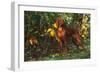 Vizsla by Yellow Autumn Leaves, Andover, Connecticut, USA-Lynn M^ Stone-Framed Photographic Print