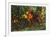 Vizsla by Yellow Autumn Leaves, Andover, Connecticut, USA-Lynn M^ Stone-Framed Photographic Print