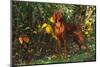 Vizsla by Yellow Autumn Leaves, Andover, Connecticut, USA-Lynn M^ Stone-Mounted Photographic Print