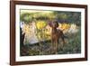 Vizsla Standing by Pool with Autumn Reflections, Pomfret, Connecticut, USA-Lynn M^ Stone-Framed Photographic Print