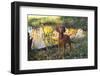 Vizsla Standing by Pool with Autumn Reflections, Pomfret, Connecticut, USA-Lynn M^ Stone-Framed Photographic Print