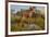 Vizsla Standing in Marine Grass at Beach, Madison, Connecticut, USA-Lynn M^ Stone-Framed Photographic Print