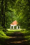 Straight Foggy Passage Surrounded by Dark Trees-vkovalcik-Framed Stretched Canvas