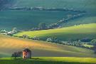 Laminate