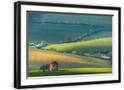 Chelsea Black