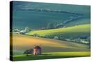 Stretched Canvas
