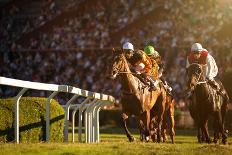 Two Jockeys during Horse Races on His Horses Going towards Finish Line. Traditional European Sport.-Vladimir Hodac-Photographic Print