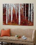 Fall Birches-Vladimir Kostka-Loft Art