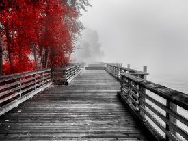 Affordable Spot Color Photography Posters For At Allposters Fall Walkway By Vladimir Kostka