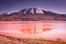 Saline Uyuni-Vladimir Krupenkin-Mounted Photographic Print