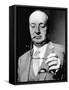 Vladimir Nabokov, Russian Author, 20th Century-null-Framed Stretched Canvas