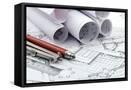 Framed Canvas