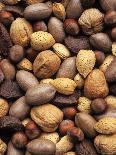 Assorted Nuts-Vladimir Shulevsky-Photographic Print