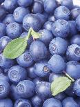 Blueberries-Vladimir Shulevsky-Photographic Print