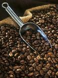 Coffee Beans with Metal Scoop in Sack-Vladimir Shulevsky-Photographic Print