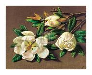 Magnolias-Vladimir Tretchikoff-Art Print