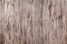 Wood Plank Colored Texture Background, Painted Wooden Floor, Table of Grain Board-Vladimirs-Photographic Print