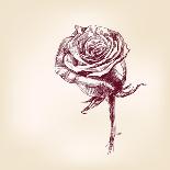 Hand Drawn Roses-VladisChern-Art Print