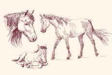 Horses Collection-VladisChern-Art Print