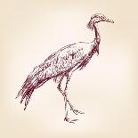 Japanese Crane Hand Drawn Vector Llustration Realistic Sketch-VladisChern-Art Print