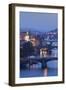 Vltava River with the Bridges-Markus-Framed Premium Photographic Print