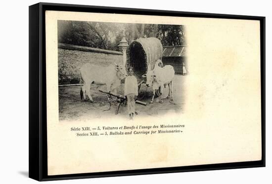 Voitures Et Boeufs a L'Usage Des Missionnaires, Bulloks, Carriage, Ochsen-null-Framed Stretched Canvas