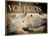 Vol Paris-null-Stretched Canvas