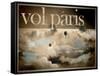 Vol Paris-null-Framed Stretched Canvas