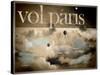 Vol Paris-null-Stretched Canvas